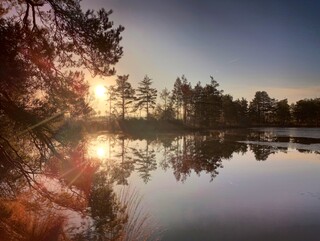 Morning pond #2