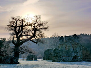 Abbey ruins in the frost