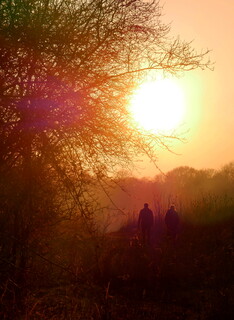 Walking the dog in golden hour