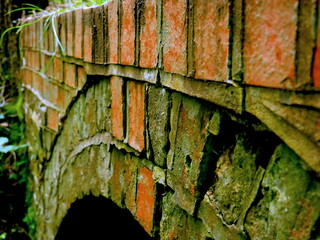 Old bridge in the woods