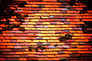 Mossy red tiles