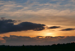 Flock of birds at sunset