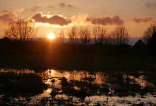 Flooded meadows at sunset