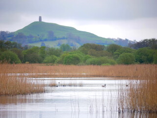Glastonbury Tor from the Levels