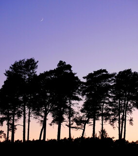 New moon silhouette