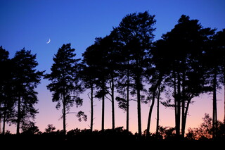 New moon silhouette