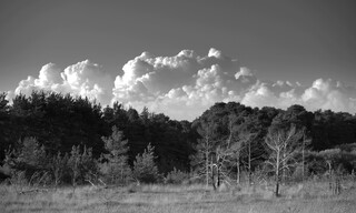 Towering clouds