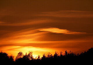 Thursley sunset
