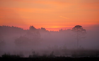 Thursley sunrise #1