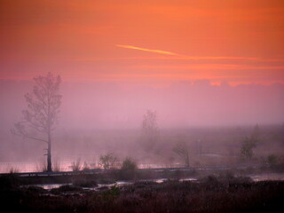 Thursley sunrise #2