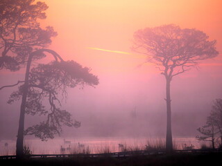 Thursley sunrise #3
