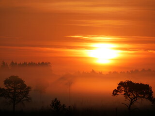 Thursley sunrise #4