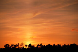 Thursley sunset #1