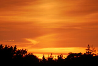 Thursley sunset #2