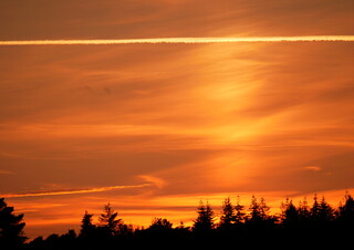 Thursley sunset #3